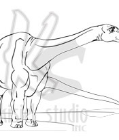 Images/Portfolio/Digital Vectors/brontaW-logoWEBsm.jpg
